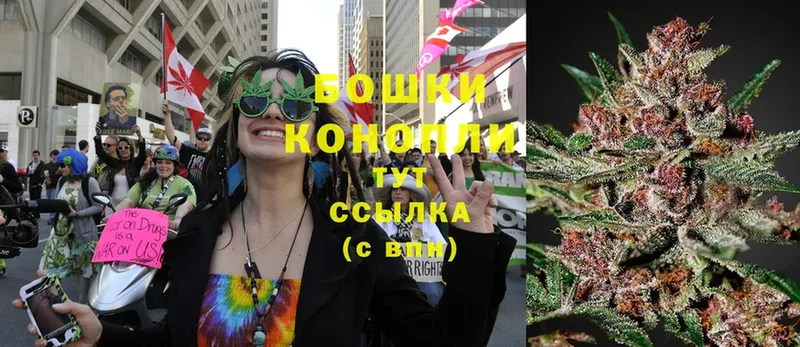 Канабис SATIVA & INDICA  Бакал 